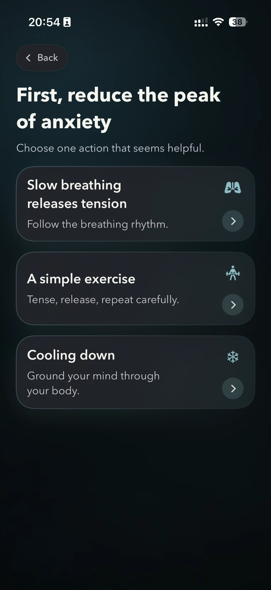 Im fine anxiety actions screen with three simple calming options.