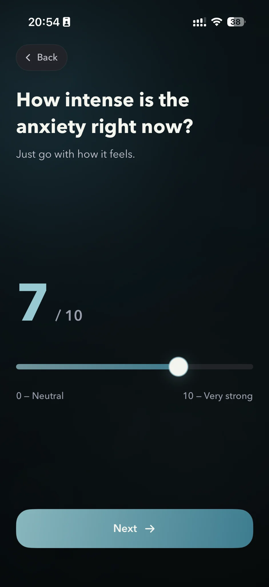 Im fine self-check screen asking how intense the anxiety feels right now.